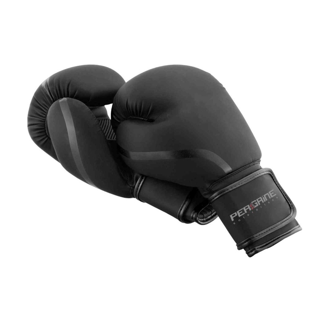Training boxing gloves Peregrine Enterprises
