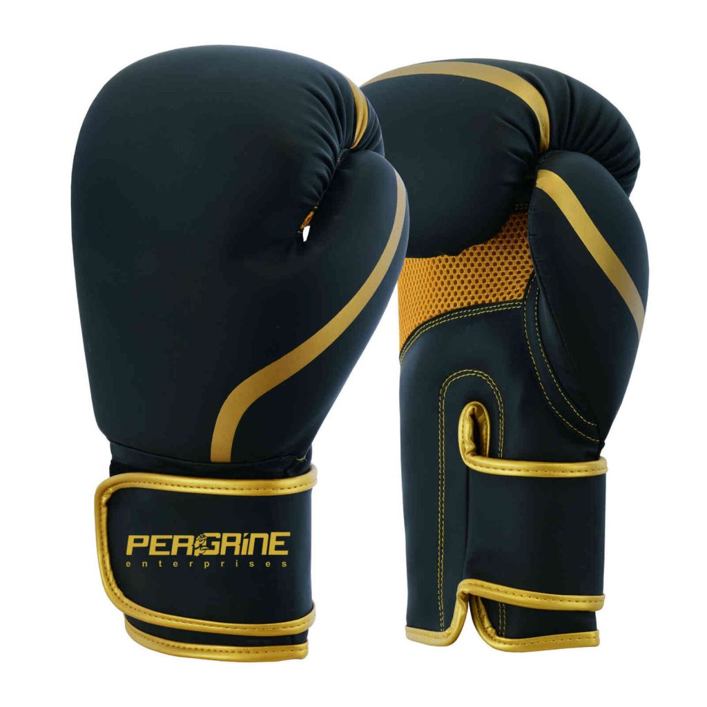 Beginner boxing gloves Peregrine Enterprises