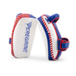 Kickboxing foot pads - Image 3